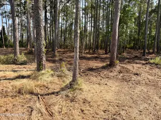 0 10/10A Seaview Court, Bath, NC 27808 – photo 11: IMG_3442