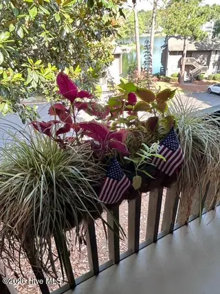 250 Sugar Gum Lane # 252, Pinehurst, NC 28374 – photo 15: balcony plant