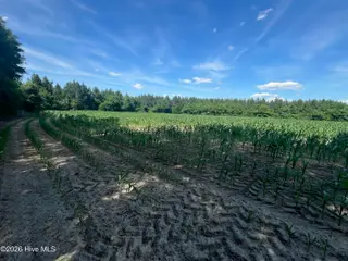 2364 Nc 102 E, Ayden, NC 28513 – photo 13: IMG_6367