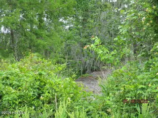 421 11 Pointe Vista Drive, Elizabeth City, NC 27909 – photo 4: IMG_7471