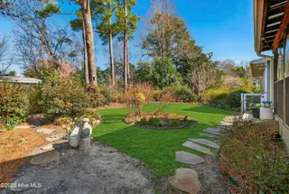 225 Tanbridge Road, Wilmington, NC 28405 – photo 6: 225TanbridgeRoad-12_Grass