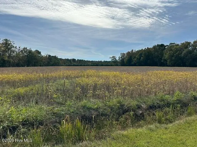 721 Joe Piver Road, Chadbourn, NC 28431 – photo 1 of 4: Land