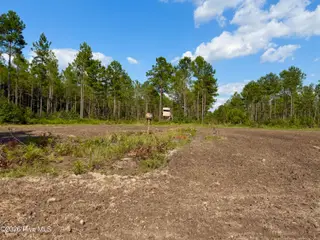 2310 Devils Racetrack Road, Four Oaks, NC 27524 – photo 4: Photo Jul 30 2026, 4 52 09 PM