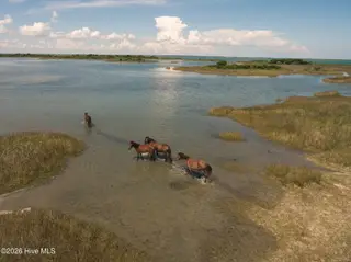 908 & 922 Island Road, Harkers Island, NC 28531 – photo 21: 31-web-or-mls-Cape Lookout & Harkers 6