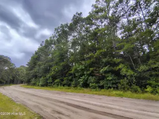 Lot 45 45 Near 519 Deer Lane, Tabor City, NC 28463 – photo 3: IMG_20260830_144153289_HDR_AE