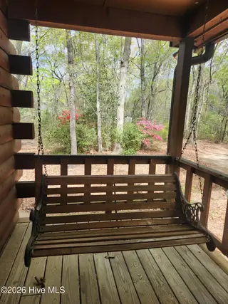 345 Rock Road, Goldsboro, NC 27534 – photo 3: swing