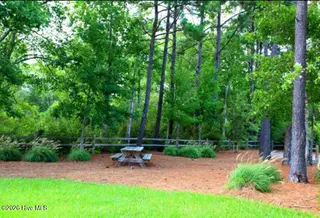186 Snow Goose Lane, Sneads Ferry, NC 28460 – photo 13: picnic