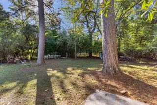 4204 Park Avenue, Wilmington, NC 28403 – photo 6: 4204 Park Ave-00006