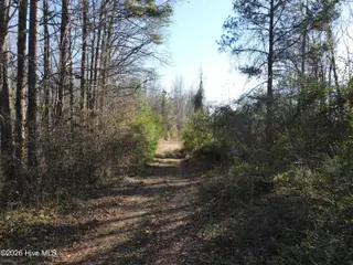 1715 E Old Spring Hope Road, Nashville, NC 27856 – photo 18: SH MLS 17