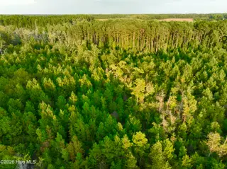 0 3 Princeton Kenly Road, Kenly, NC 27542 – photo 2: Photo Sep 21 2026, 12 15 46 PM