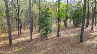 160 T Johnson Road, Carthage, NC 28327 – photo 5: T Johnson-32