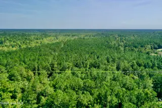 0 Bud Stephens Road, Evergreen, NC 28438 – photo 8: drone 6