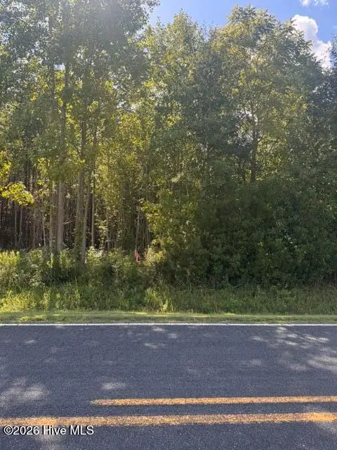 Lot 4 4 Great Swamp Road, Ernul, NC 28527 – photo 1 of 1: IMG_4789 (1)