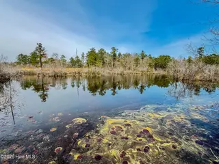 0 Lobelia Road, Vass, NC 28394 – photo 11: 9