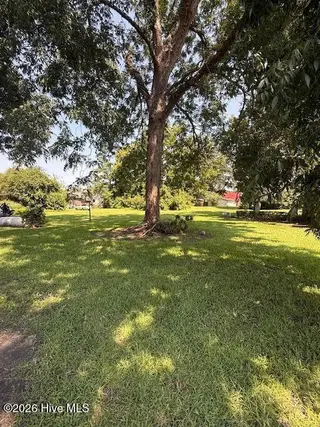 704 W 3rd Street, Washington, NC 27889 – photo 13: Rear Yard