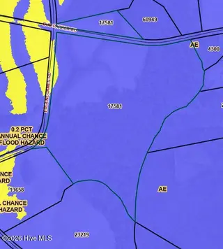 4221 Bud Parker Rd Road, Greenville, NC 27834 – photo 5: Flood Map