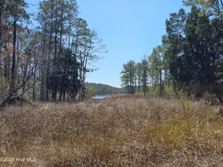 Lot 32 32 Bailey Pointe Drive, Belhaven, NC 27810 – photo 17: 20260319_125745