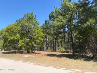 5324 Us 1 Highway, Vass, NC 28394 – photo 23: IMG_0098