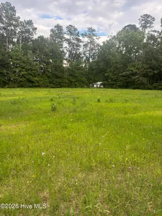 1416 Wheeler Street, Whiteville, NC 28472 – photo 5: Wildflowers Currently Planted!