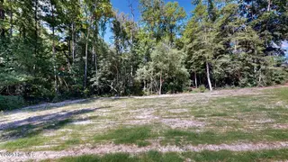 219 Willowbrook Drive, Pikeville, NC 27863 – photo 23: Back Yard