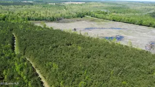 Off Speights Chapel Road, Whitakers, NC 27891 – photo 9: DJI_0578