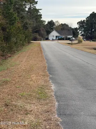 0 1 Joans Haven Drive, Newport, NC 28570 – photo 7: wooded lot street 1