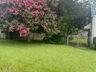 414 Dexter Street, Rocky Mount, NC 27803 – photo 13: Side Yard
