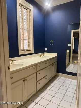509 Bentmoor Drive, Whiteville, NC 28472 – photo 22: Downstrs Master Bath