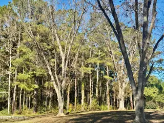 0 Near 4294 James B Wh, Whiteville, NC 28472 – photo 14: IMG_2783