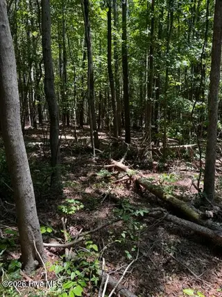 Lot 1 Dan Road, Robbins, NC 27325 – photo 8: 7