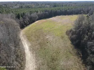 1715 E Old Spring Hope Road, Nashville, NC 27856 – photo 20: SH MLS 19