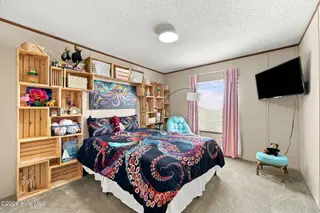 238 Lucille Lewis Drive, Marshallberg, NC 28553 – photo 17: Guest Bedroom