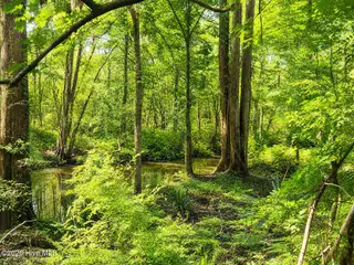 1209 Brices Creek Road, New Bern, NC 28562 – photo 6: 1209 Brice's Creek BACK