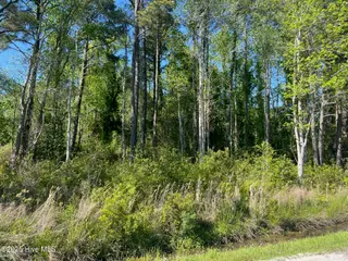 770 Laurel Road, Beaufort, NC 28516 – photo 2: IMG_3090