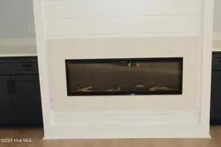 316 Bobbys Drive, Newport, NC 28570 – photo 17: Electric fireplace