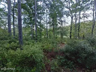 33 33 Mixon Creek Drive, Bath, NC 27808 – photo 8: IMG_3792