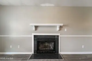 342 Palamino Trail, Jacksonville, NC 28546 – photo 13: Fireplace