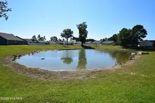 2033 Bogue Lane, New Bern, NC 28562 – photo 19: POND