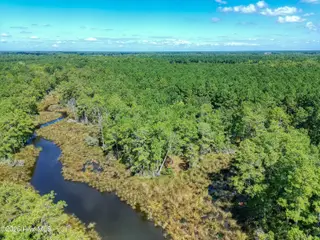 Lot 77 77 Mcgowan Road, Bath, NC 27808 – photo 15: PTSC_0540b