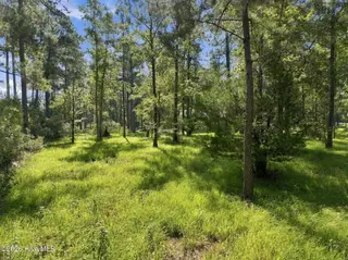 101 Hidden Harbor Lane, Beaufort, NC 28516 – photo 7: 101 Hidden Harbor Ln