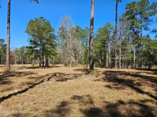 Lot 32 32 Bailey Pointe Drive, Belhaven, NC 27810 – photo 13: 20260319_125512