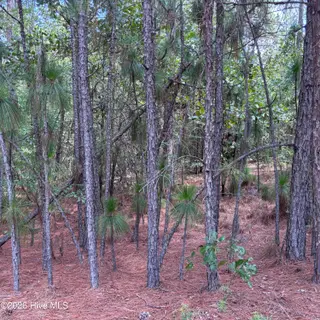 109 405 Haddington Drive, Pinehurst, NC 28374 – photo 9: IMG_5392
