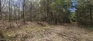 Lot 4 Leaman Road, Robbins, NC 27325 – photo 7: leaman rd 3