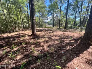 Lot 1 Elm Street, Belhaven, NC 27810 – photo 8: IMG_7300