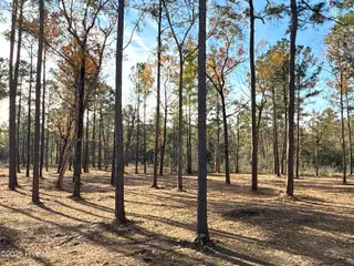 0 Norfleet Shores Road, Belhaven, NC 27810 – photo 10: IMG_0810 2