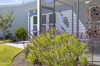 3205 Laughing Gull Terrace, Wilmington, NC 28412 — 2-bedroom home in Riverlights - Del Webb, Wilmington, NC, photo 5 of 60: 47_garden