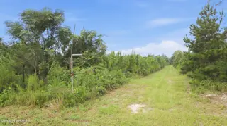 795 Pollard Swamp Road, Vanceboro, NC 28586 – photo 10: 10-print-DJI_0302