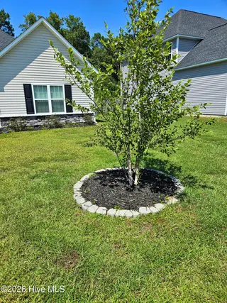 462 Water Wagon Trail, Jacksonville, NC 28546 – photo 3