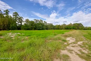 2 515 Porter Swamp Road, Cerro Gordo, NC 28430 – photo 5: 04