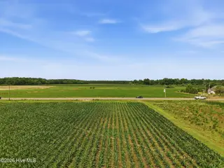 1795 1825 Highway 58 S, Kinston, NC 28501 – photo 6: crops